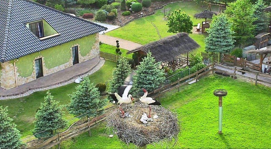 Agroturystyka Klekusiowo Boleslawiec  Exterior photo
